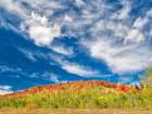 USA-Utah-Logan Pass Colorful autumn in Provo Pass Art Print